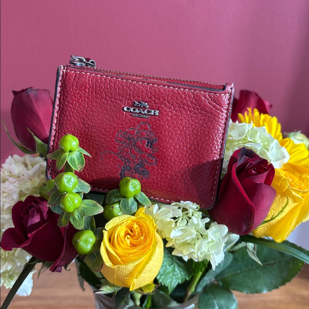 Coach Minnie Mouse Wallet